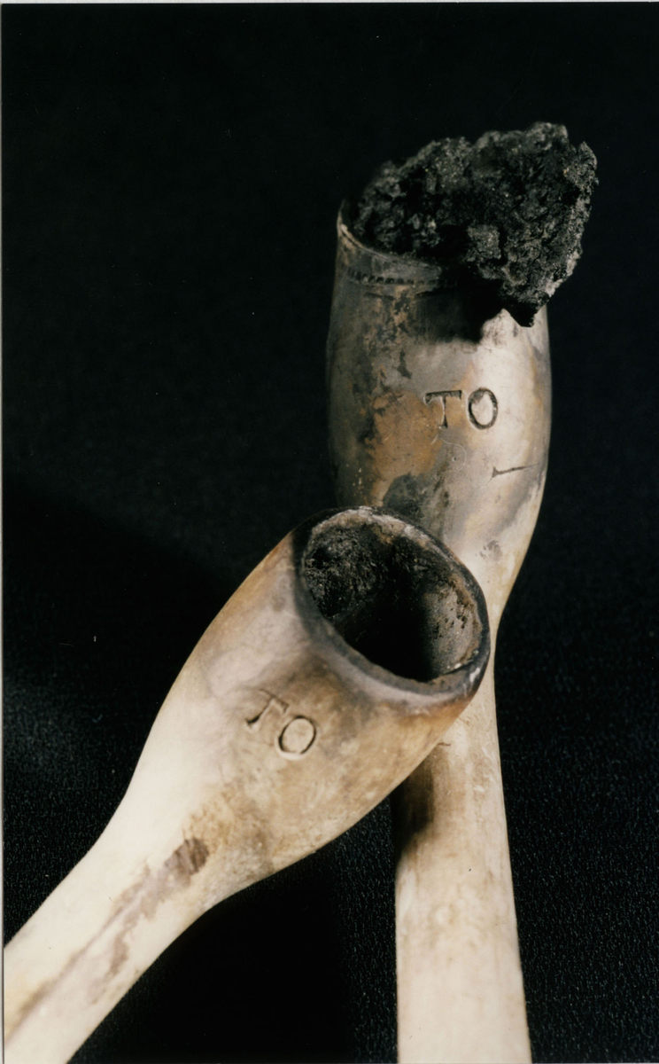 Photographie d'une pipe à fumer TO