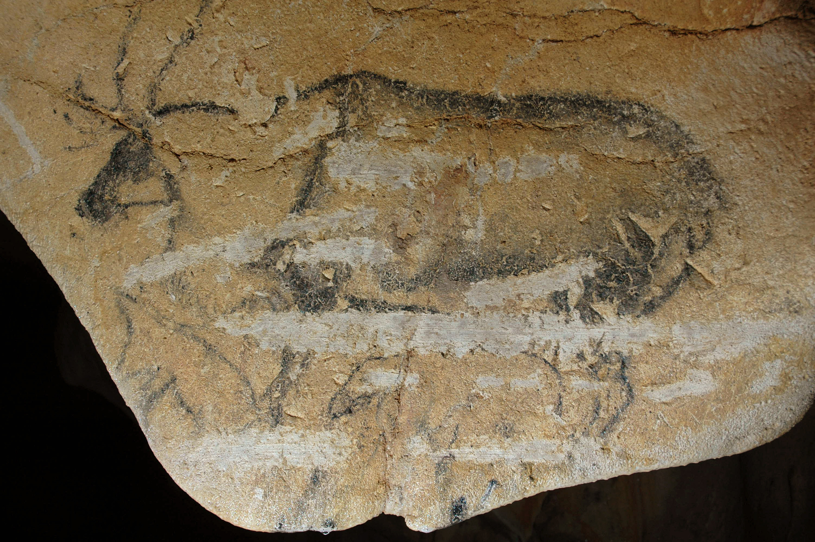 Face du pendant aux Rennes, tournée vers la salle