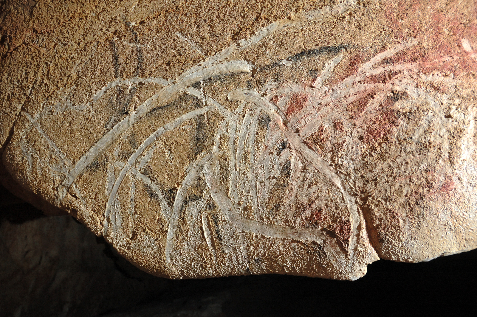 Young stag face of the Reindeer pendant