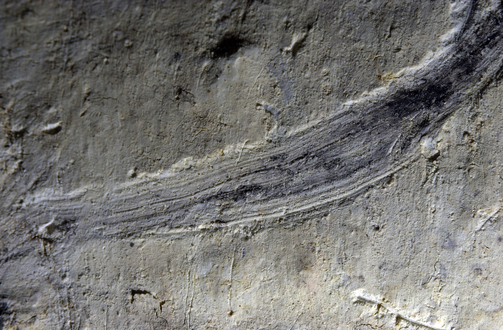 Détail macrophotographique d’un tracé