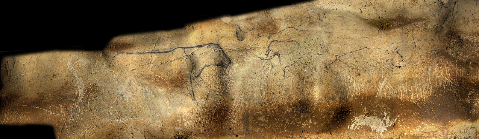 Panneau de la paroi droite