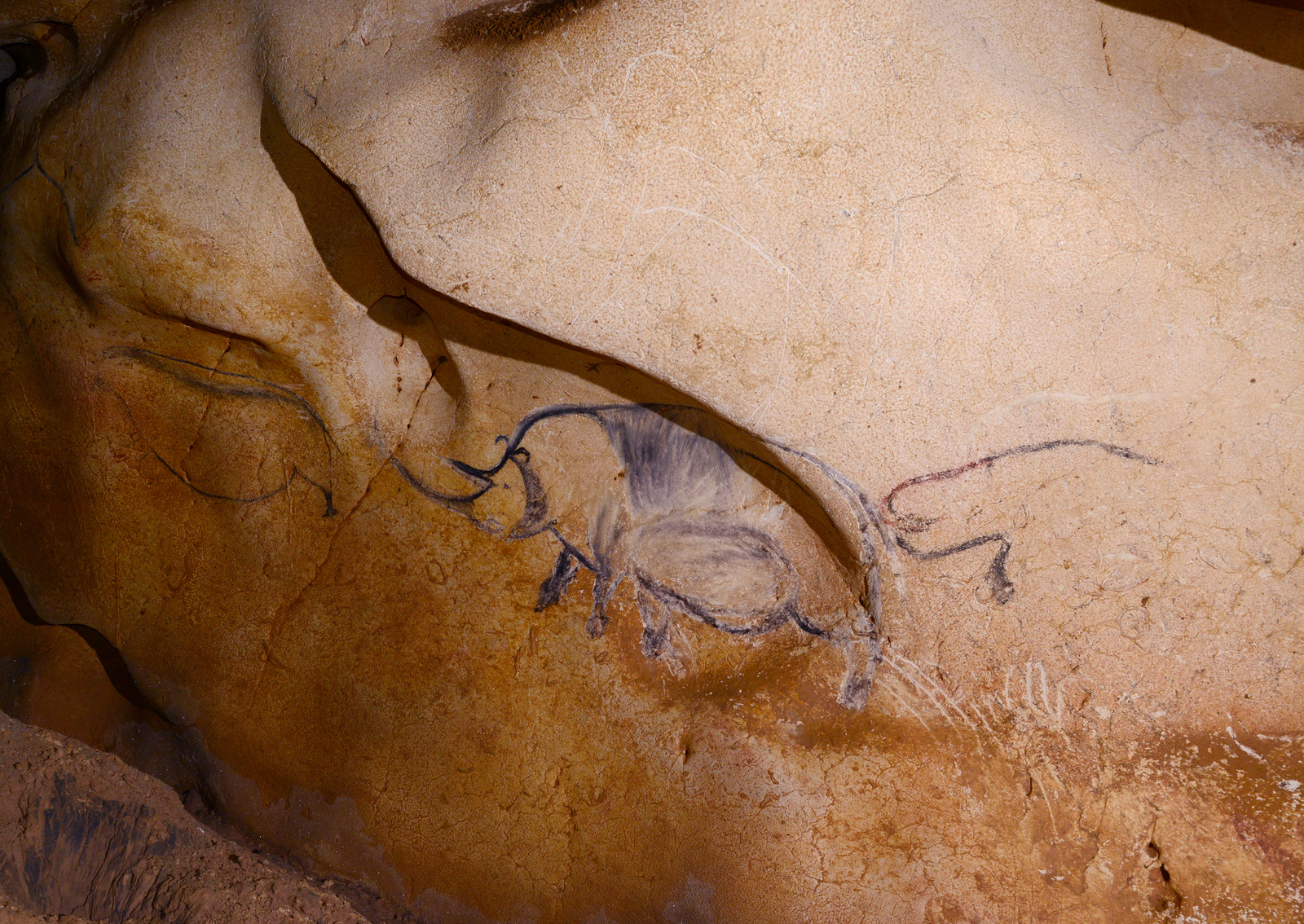 Le rhinocéros à pattes multiples