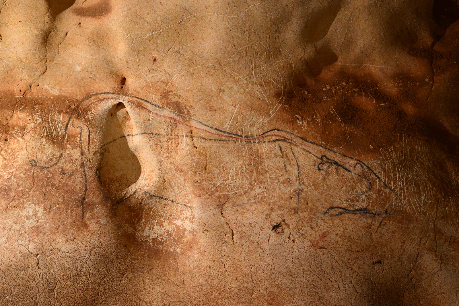 Le panneau des Trois Lions