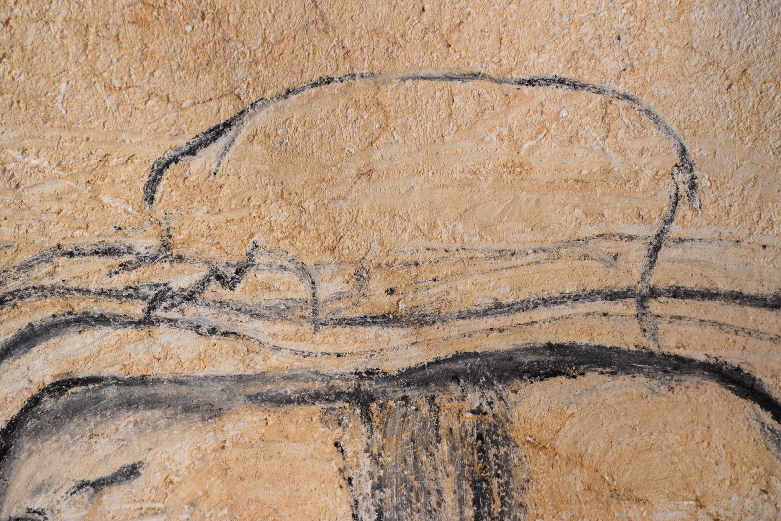 Rhinocéros schématique