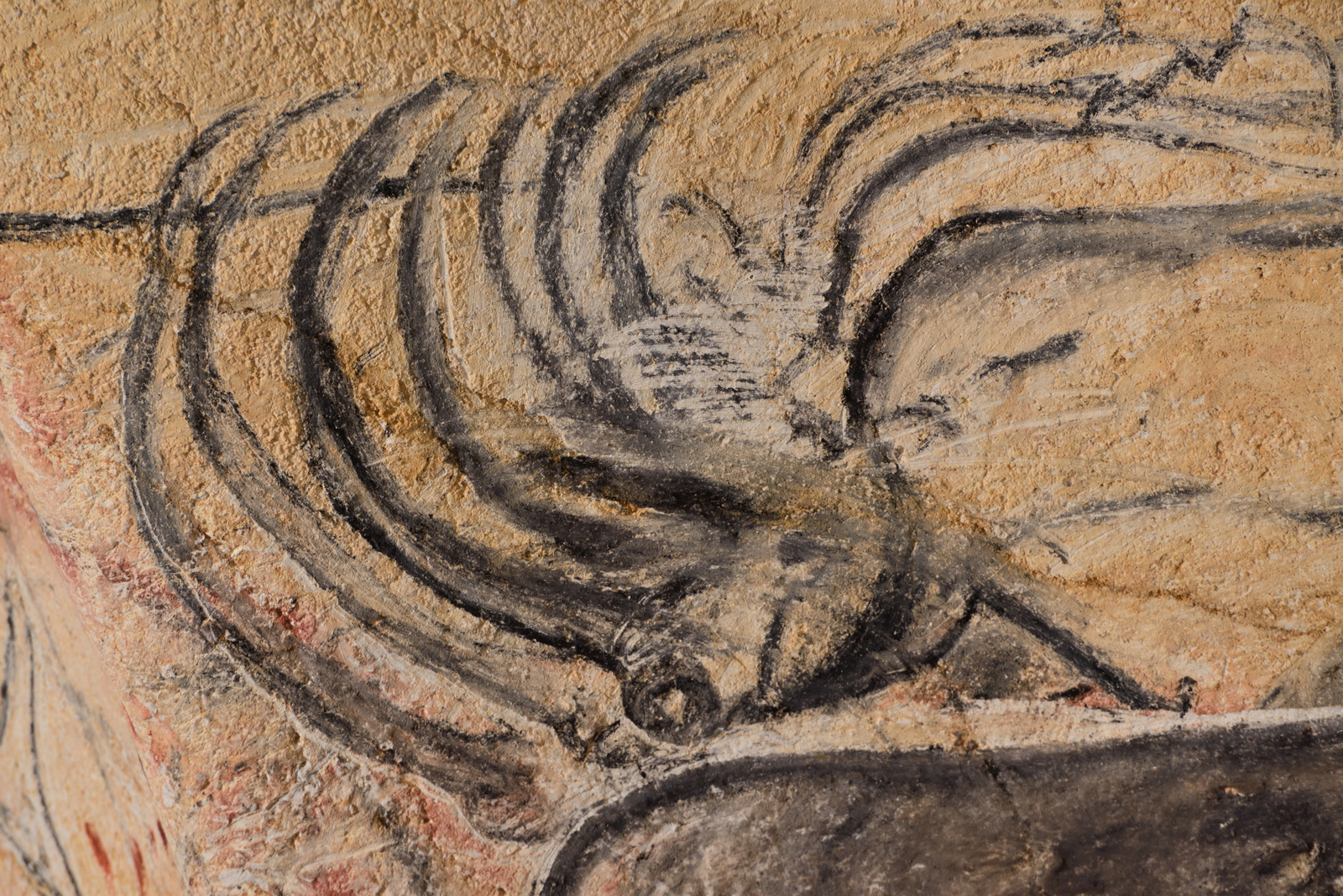 Cornes de rhinocéros