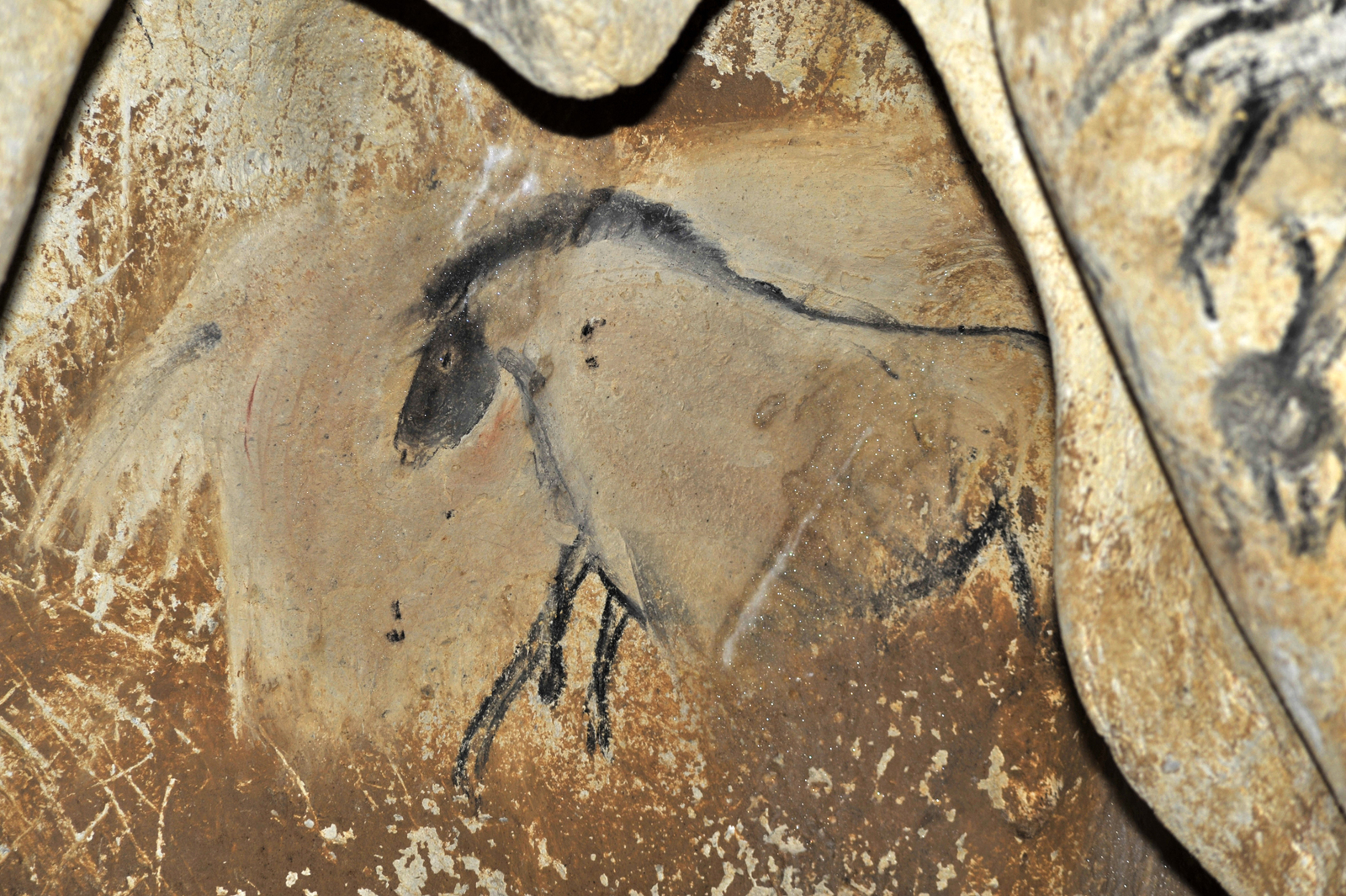 Le cheval de la niche