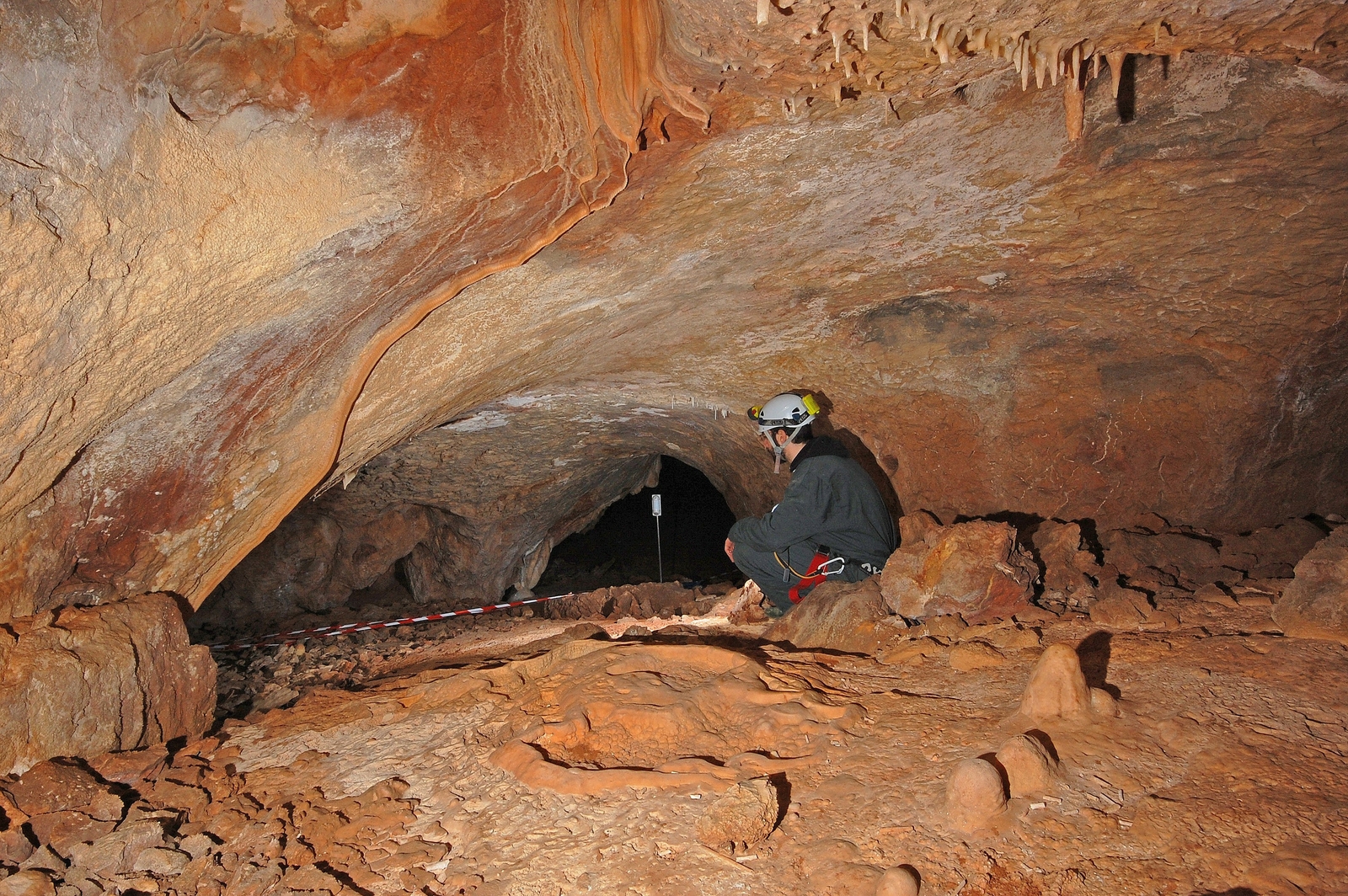 Réseau de l'entrée actuelle