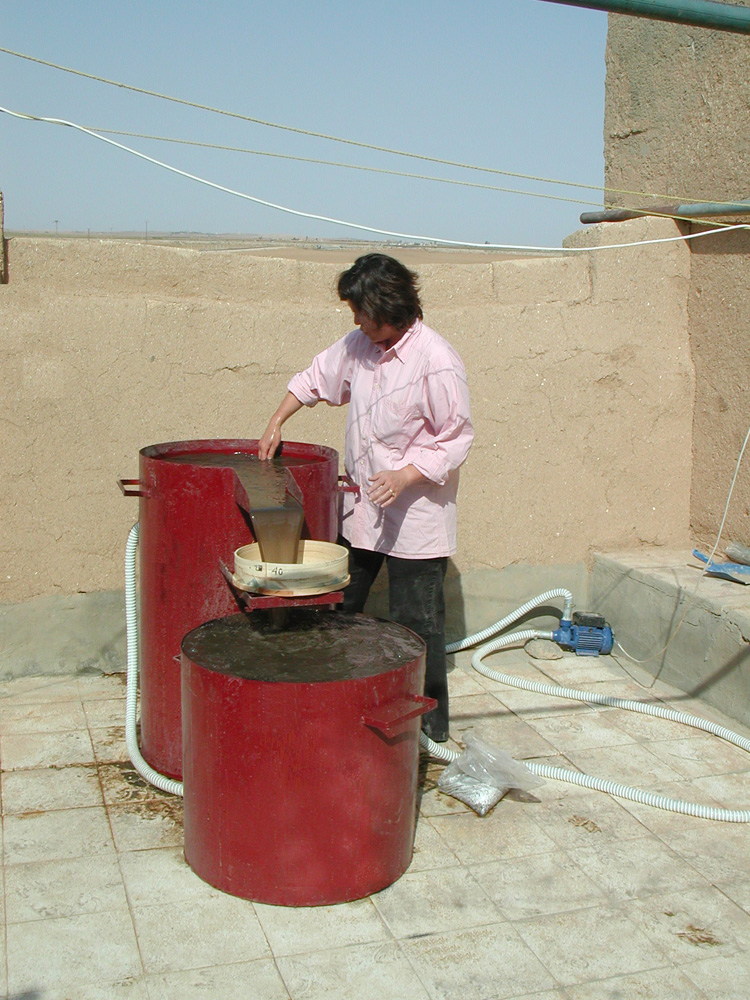 L’extraction des restes botaniques