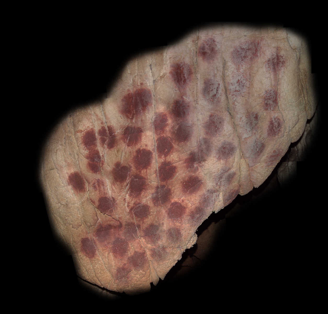 Reconstitution de la position des mains