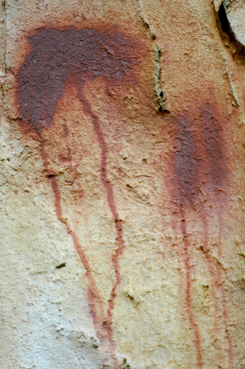 Détail de la tête de cheval rouge