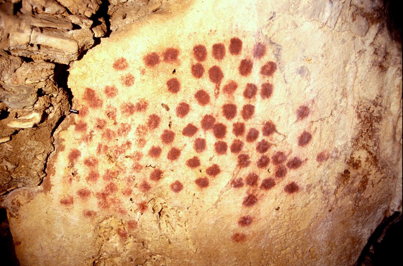 Reconstitution de la position des mains