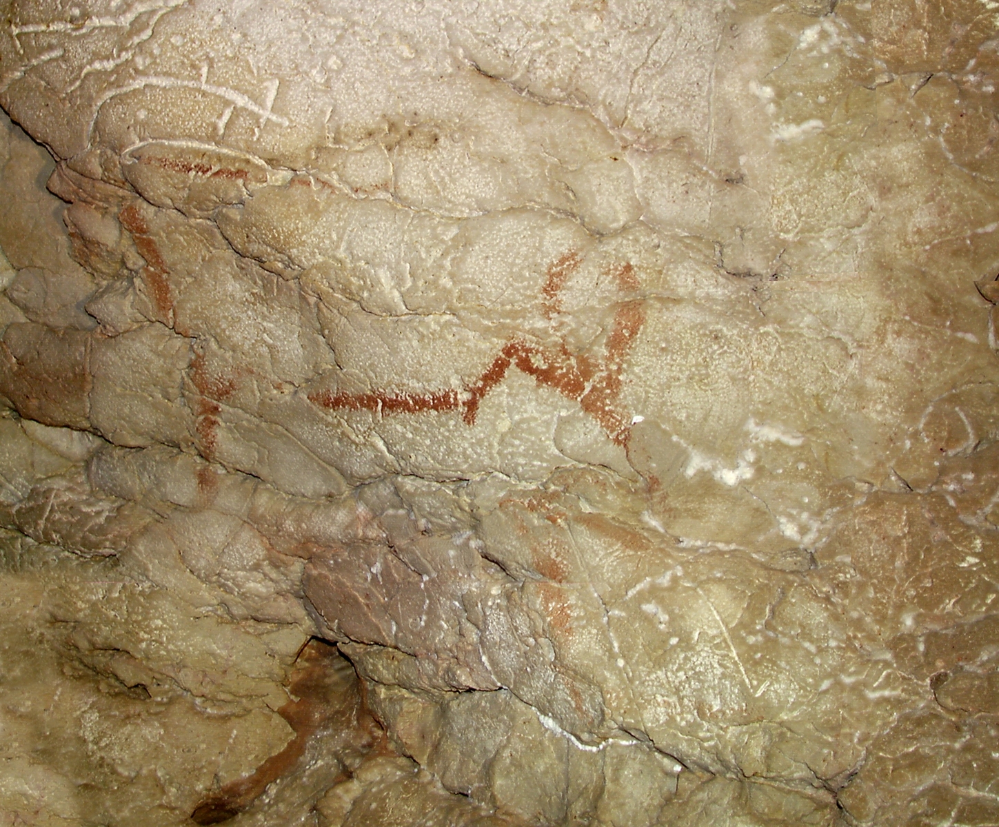 Les bouquetins du diverticule