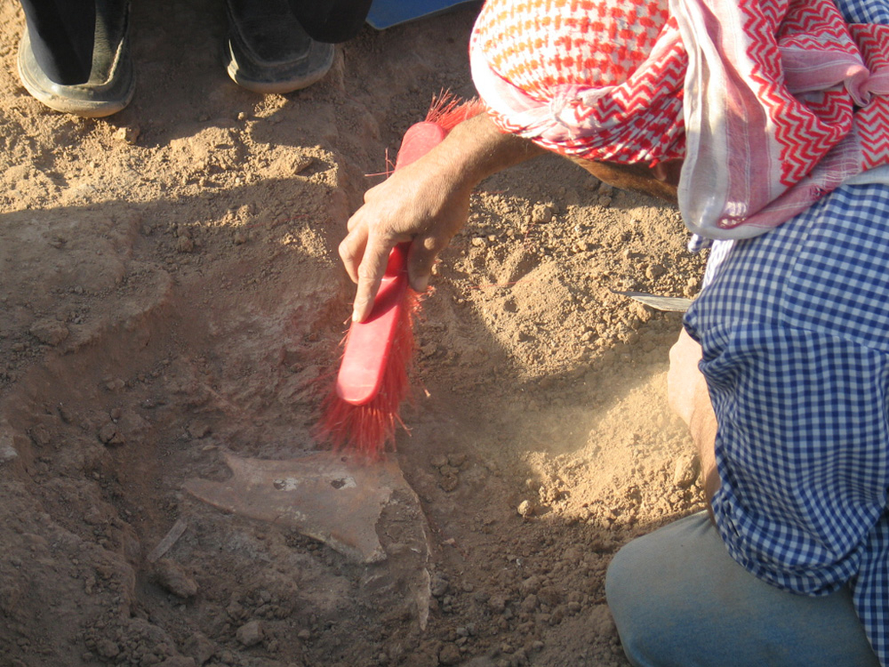 La découverte d’os sur le terrain archéologique 