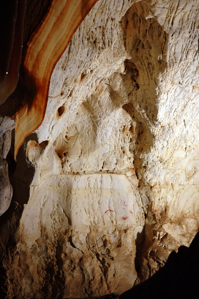 Vue de situation du Rhinocéros abrégé