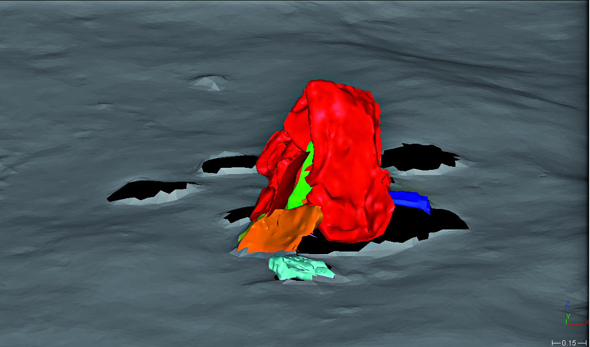 Proposition de reconstitution de la structure (sur modèle 3D)