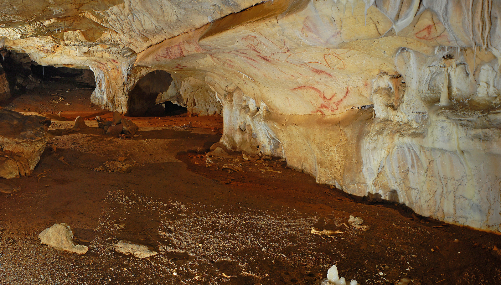 Secteur de la frise des Rhinocéros