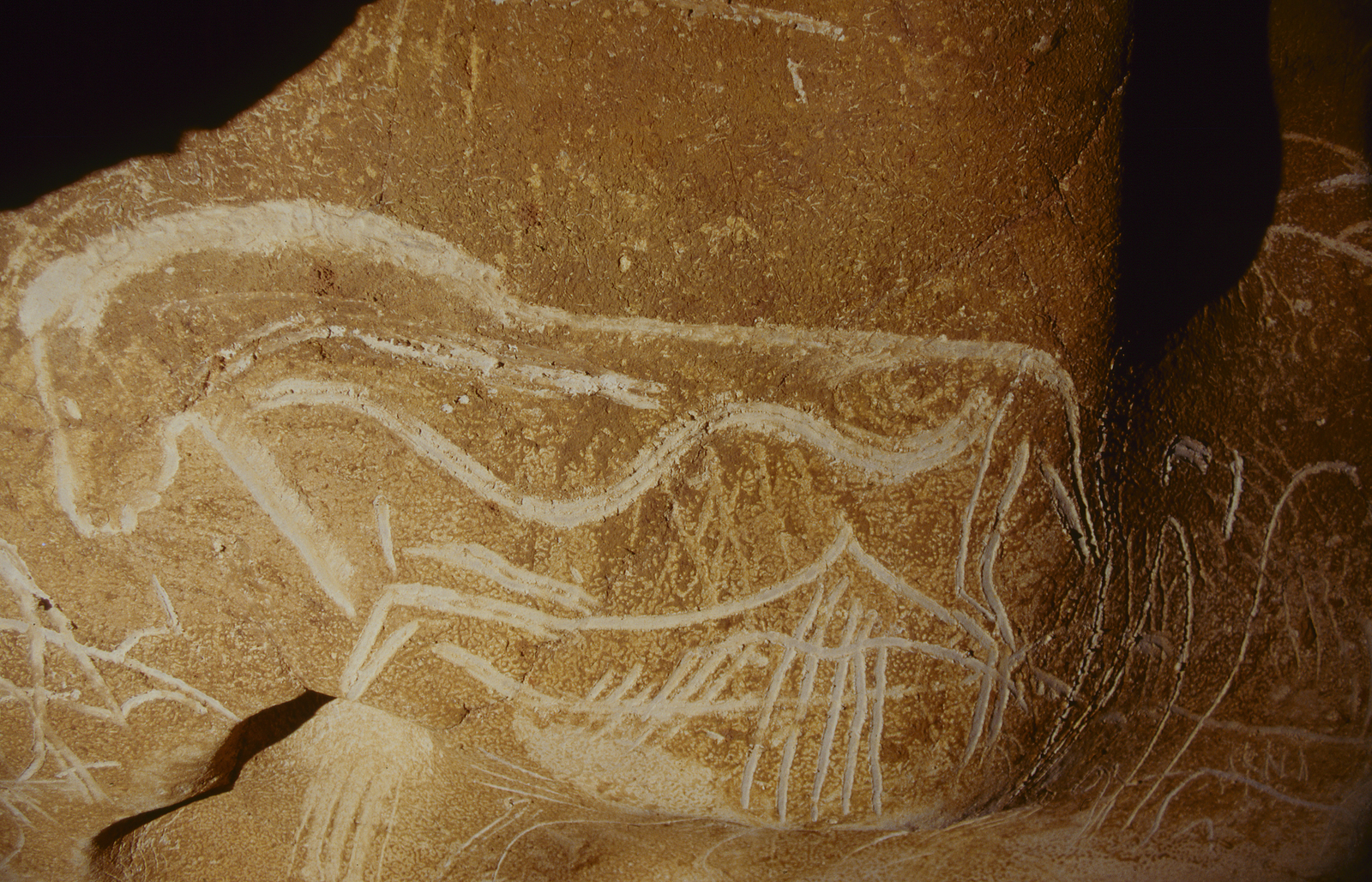 Le Grand Cheval gravé