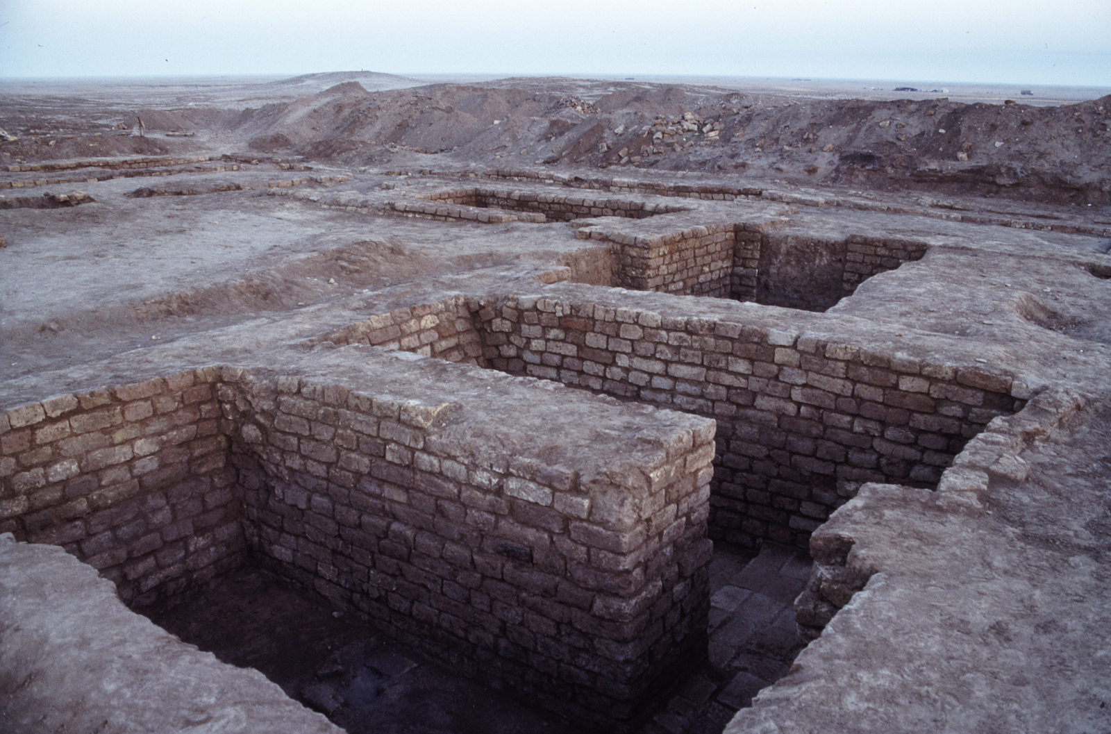 Les murs de B 59. © Mission Archéologique française de Larsa-‘Oueili, ARCH. MAE, JLH279_01_023 