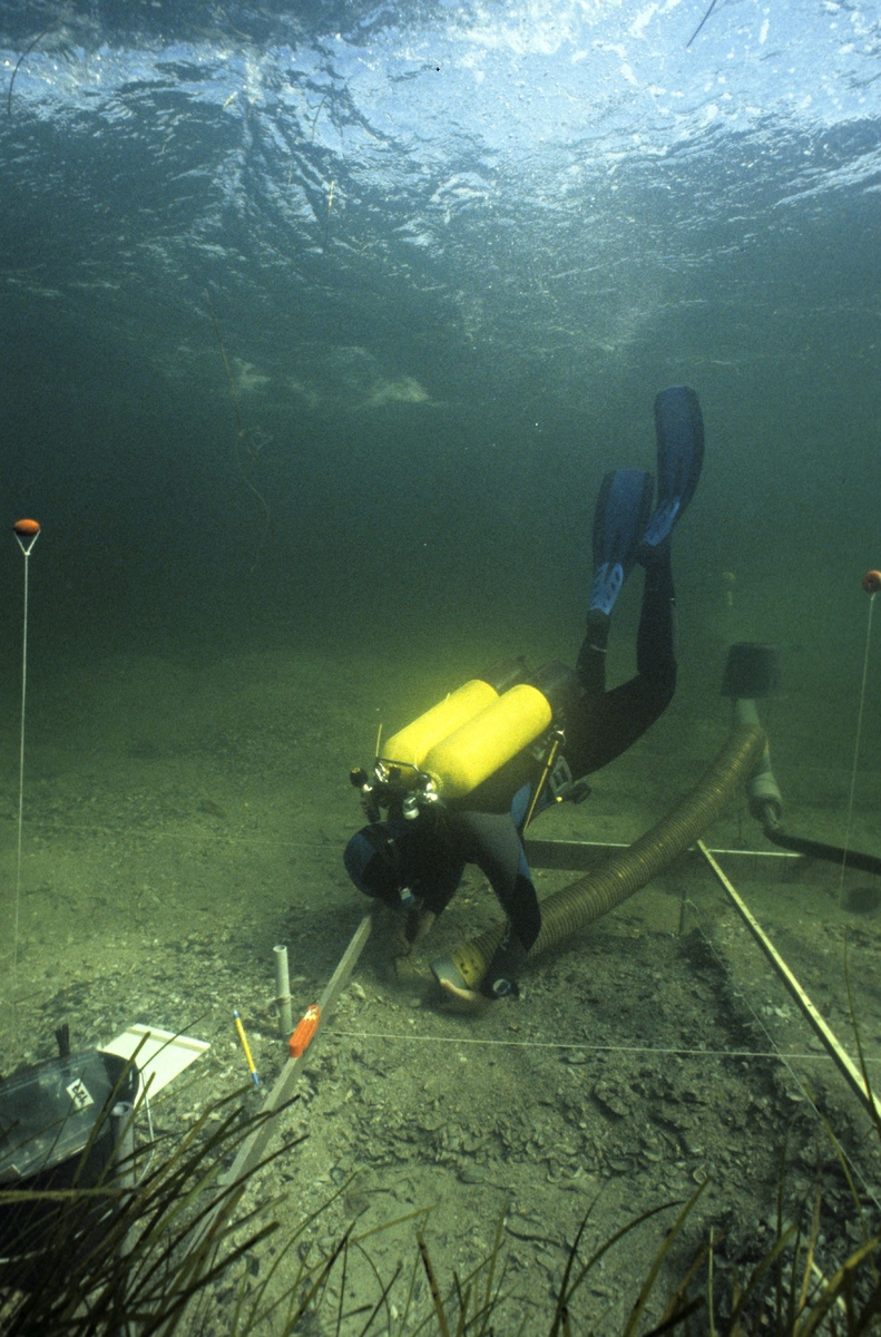 Photographie d'un plongeur fouillant dans l'étang de Thau