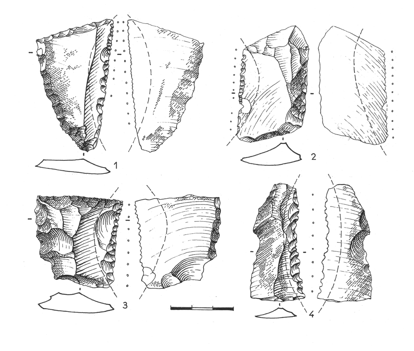 Éléments caractéristiques de la coupe de céréales