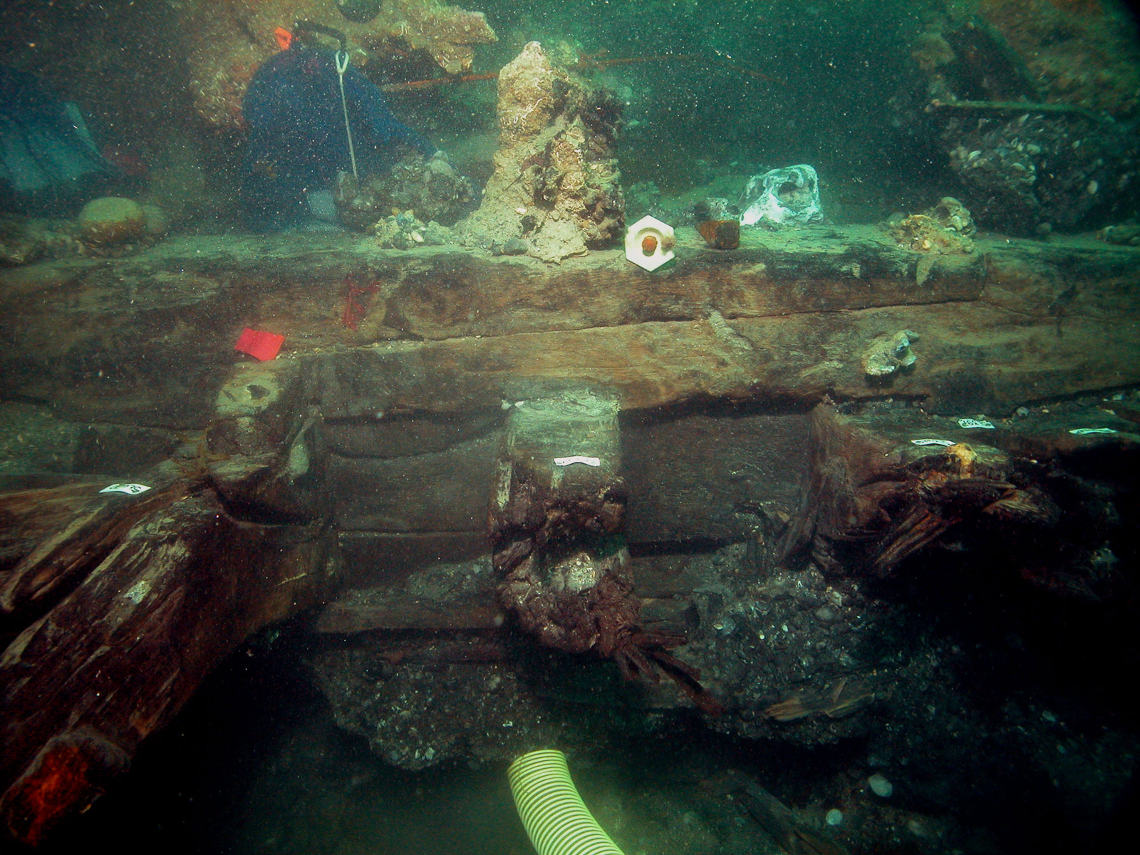 Photographie sous-marine de la face latérale bâbord de la Dauphine