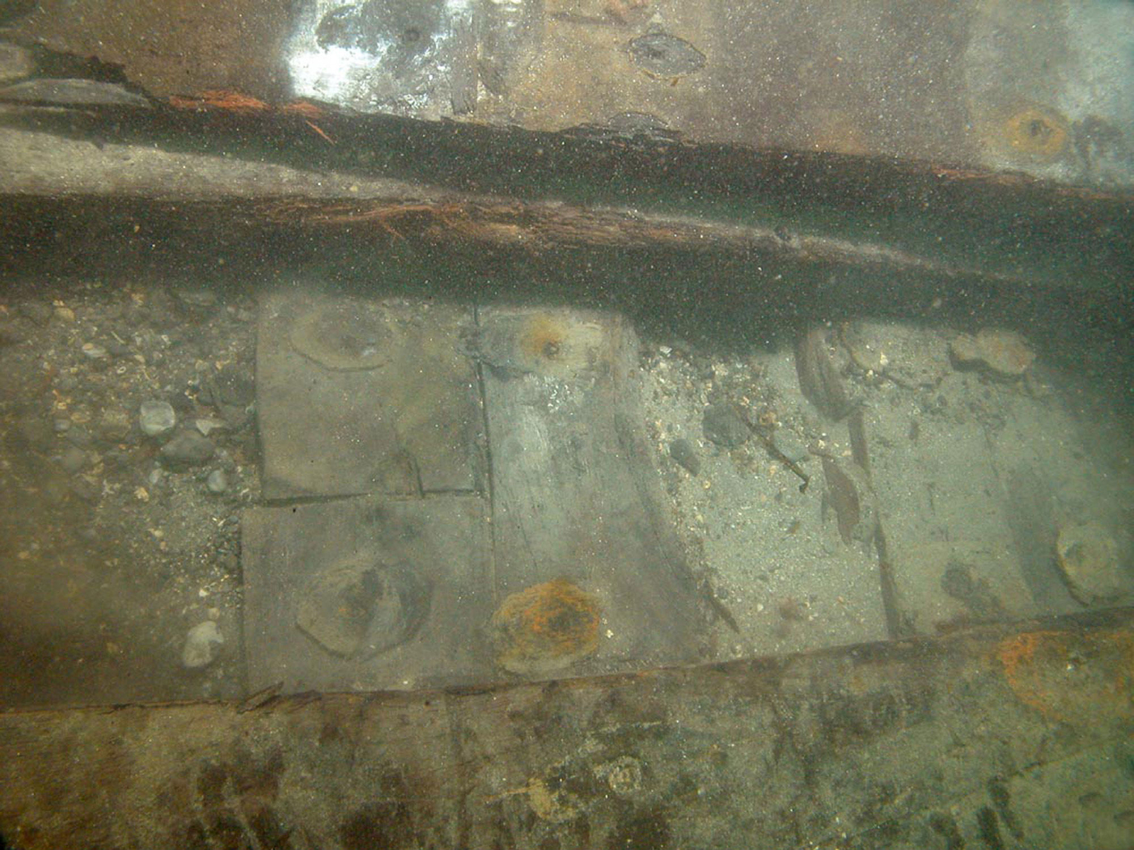 Photographie sous-marine du vaigrage de la Dauphine