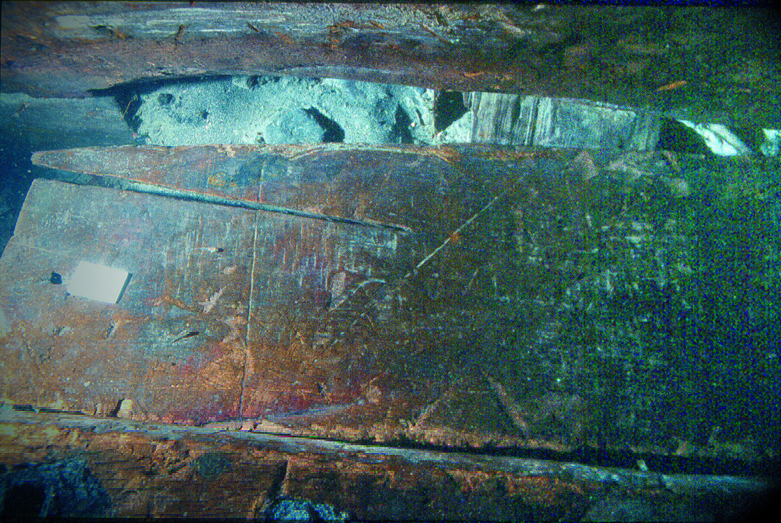 Photographie sou-marine de la parclose de la Dauphine