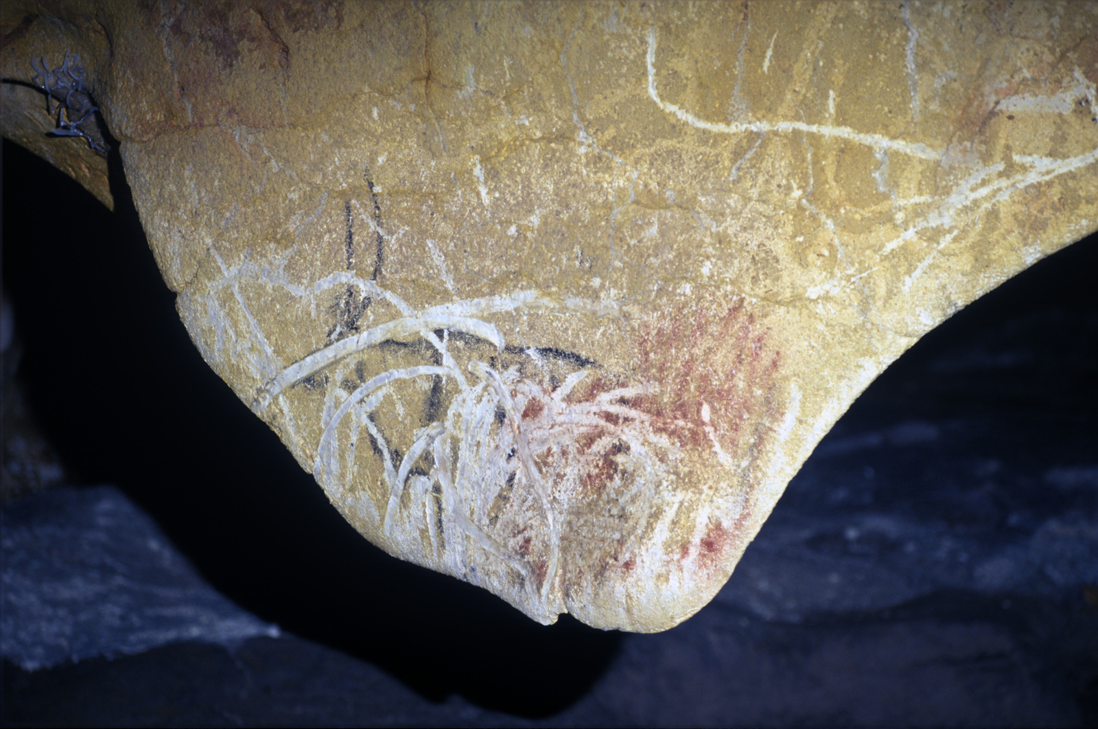 Mammouths de la paroi gauche