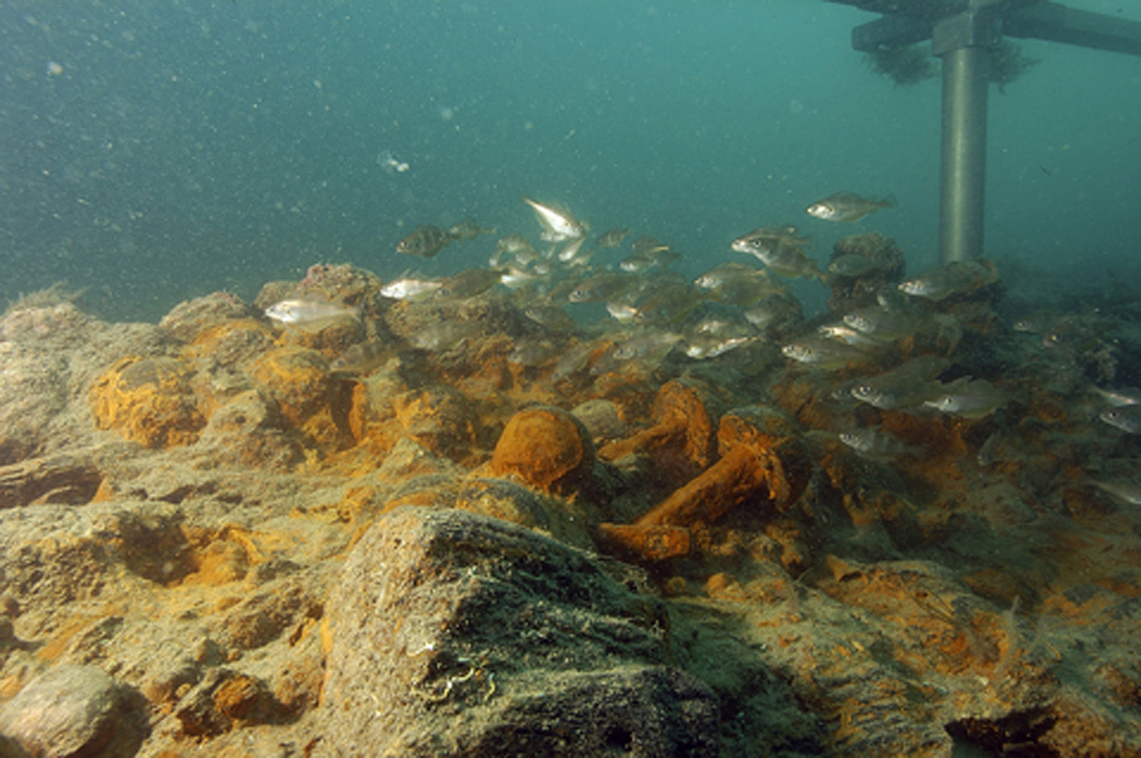 Photographie sous-marine du puits à boulets