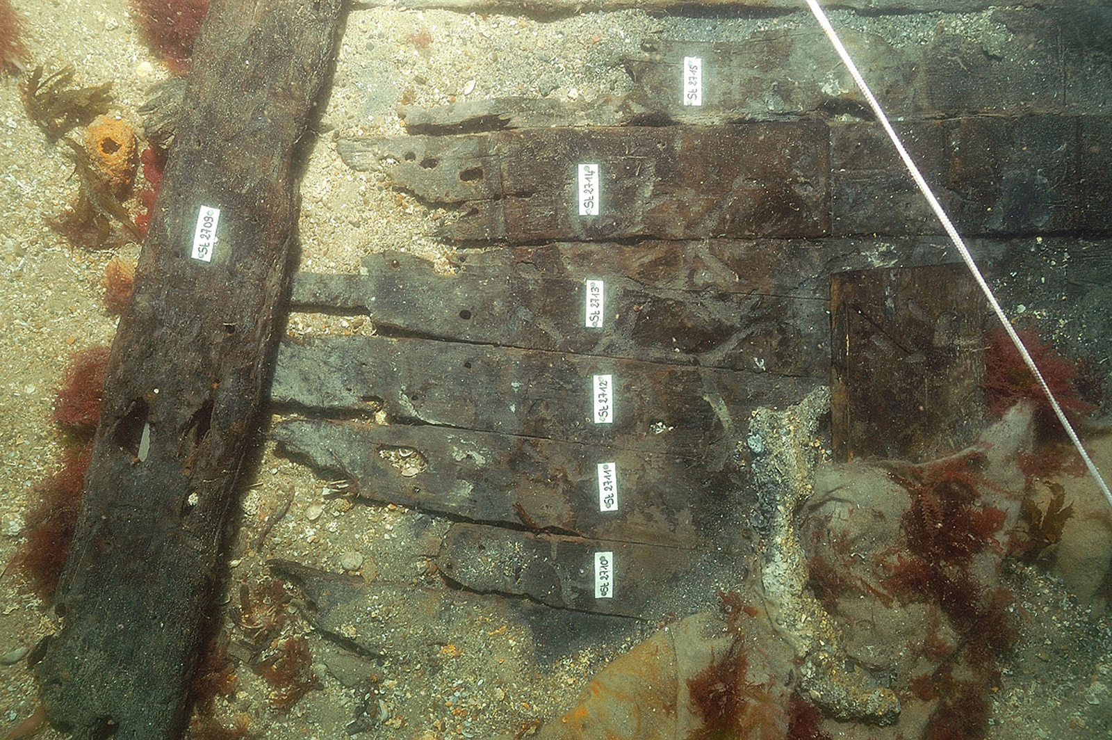 Photographie sous-marine de planches du gaillard d'avant