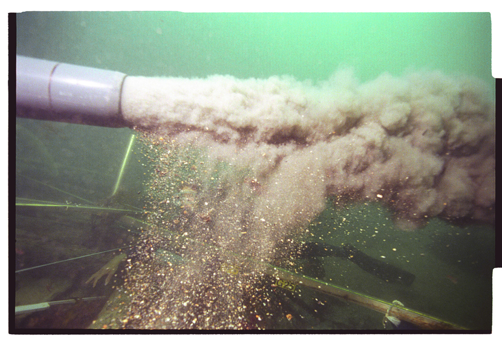 Photographie sous-marine des sédiments rejetés par la suceuse
