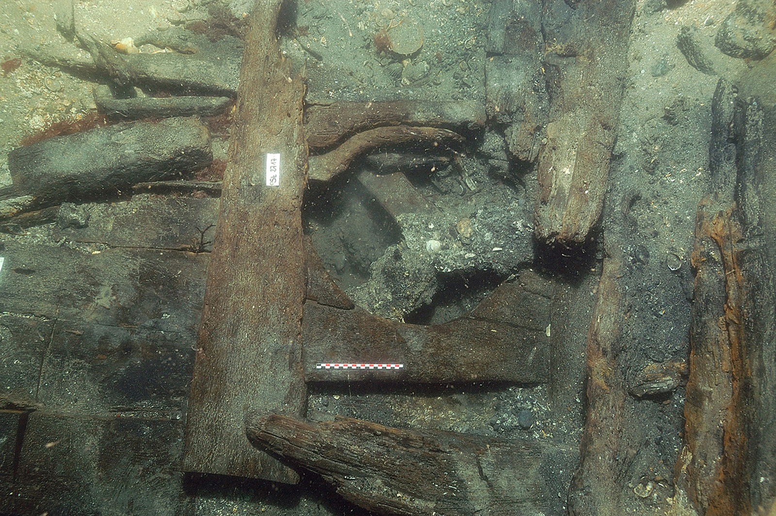 Photographie sous-marine de l'étambrai