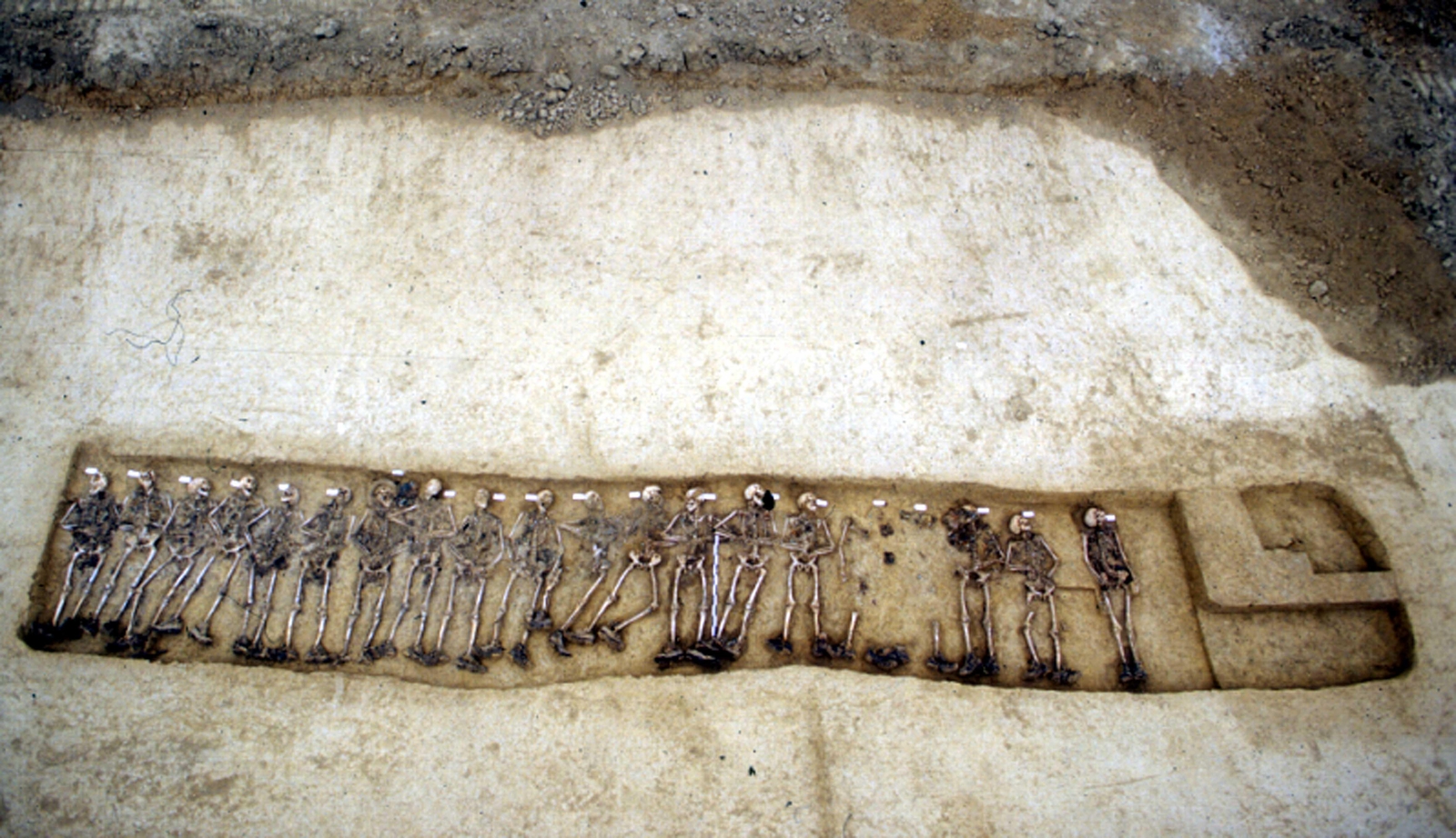 Vue de la fosse contenant les squelettes de 20 soldats britanniques du 10e Lincolnshire Regiment
