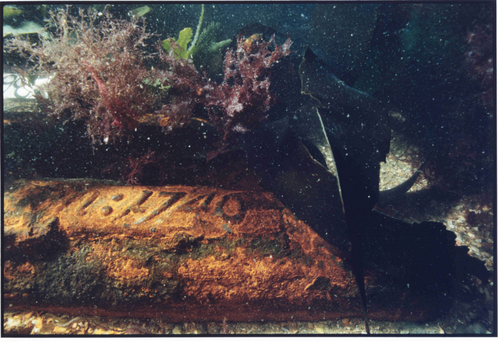 Photographie sous-marine de lingots de fer