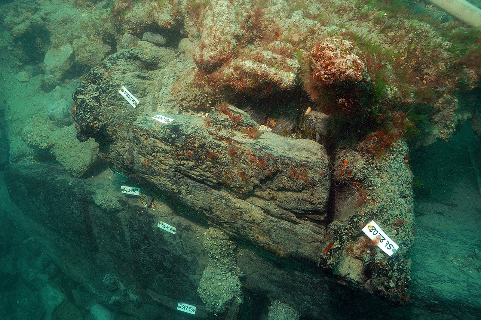 Photographie sous-marine du massif d'emplanture du mât de misaine