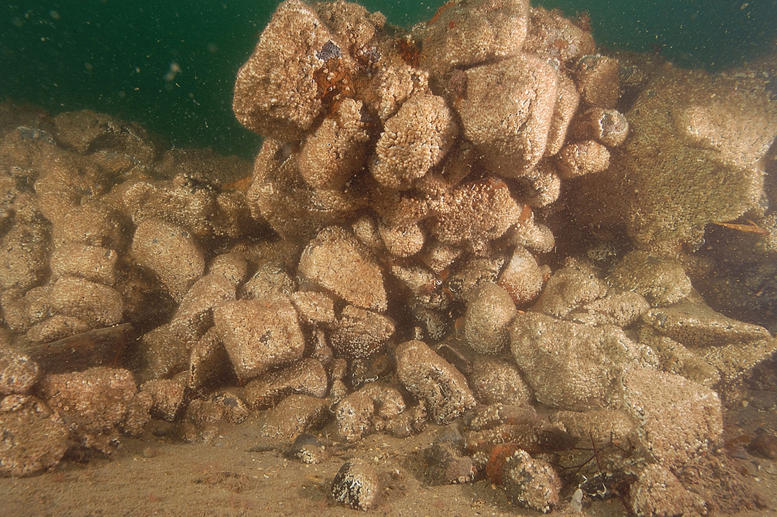 Photographie sous-marine de pierres de lest