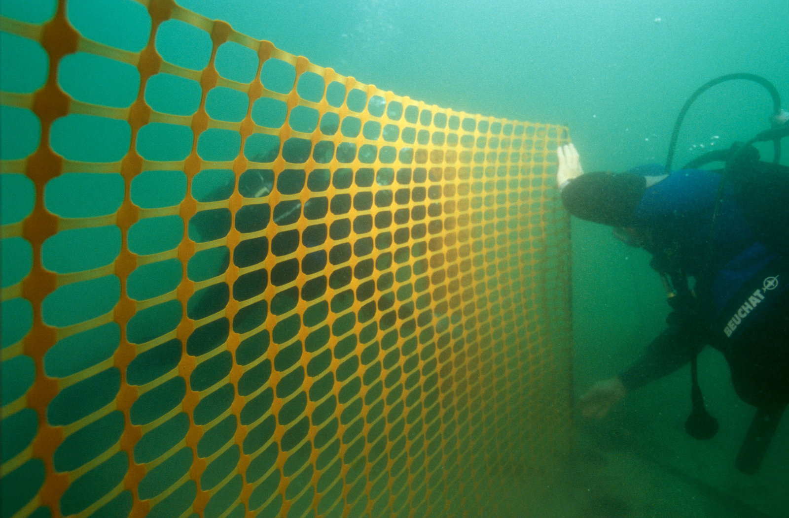 Photographie sous-marine de l'installation d'un filet contre les algues