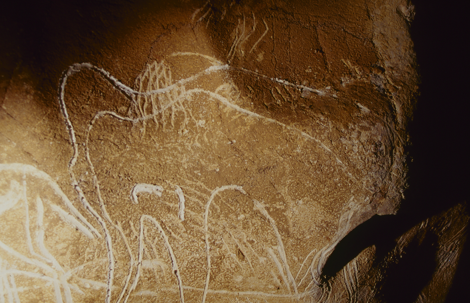 Les deux mammouths emboîtés