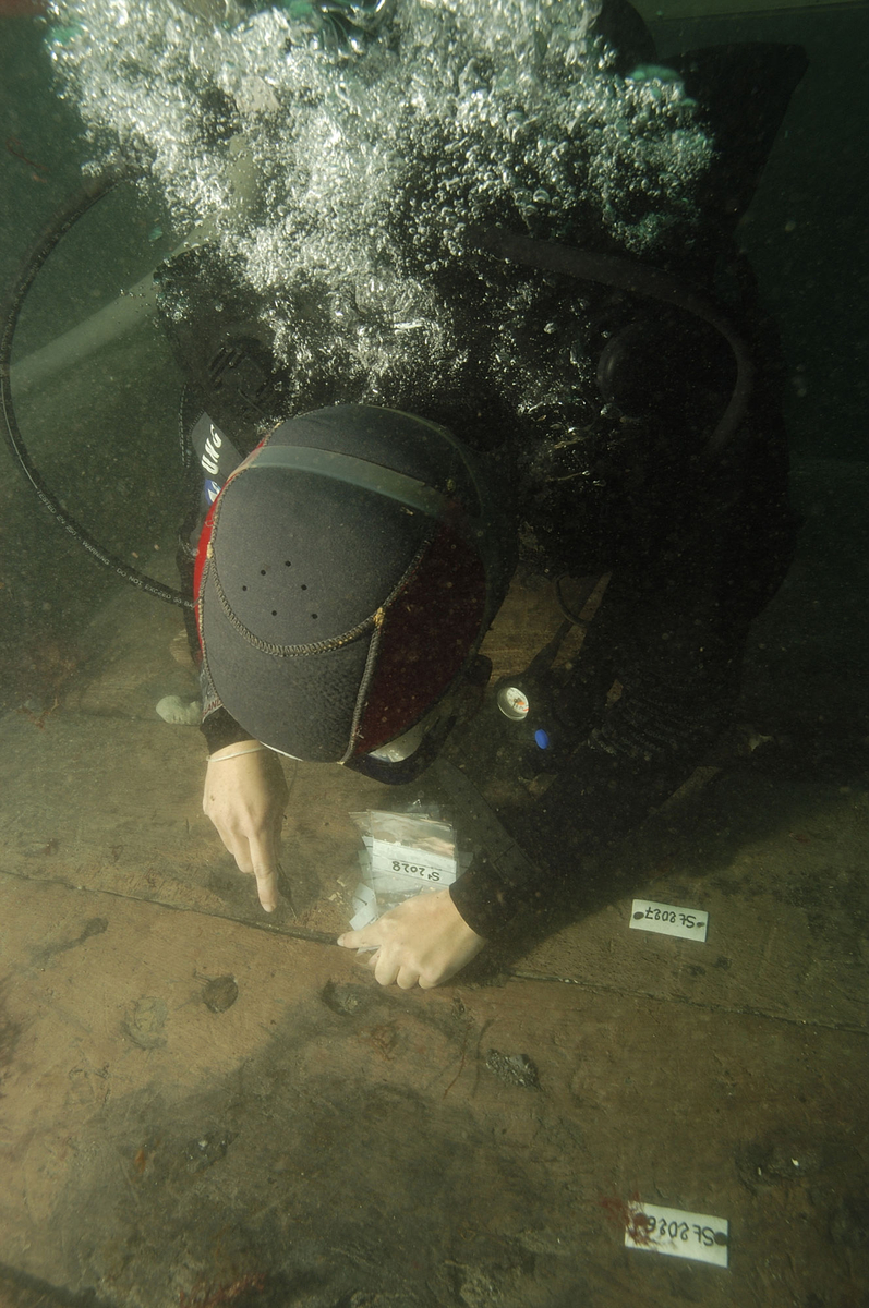 Photographie sous-marine d'un plongeur étiquetant les fragments d'épave