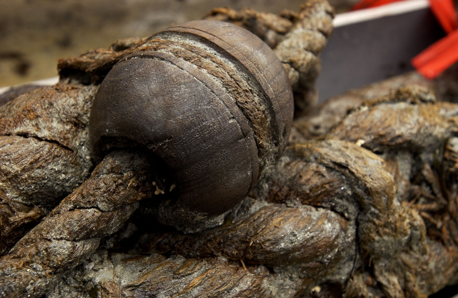 Photographie d'une pomme à passer engougée