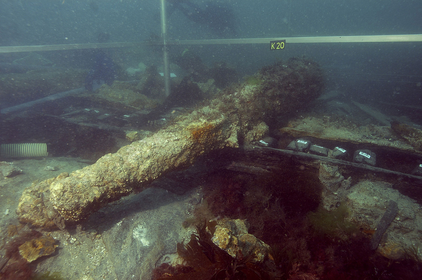 Photographie sous-marine d'un canon