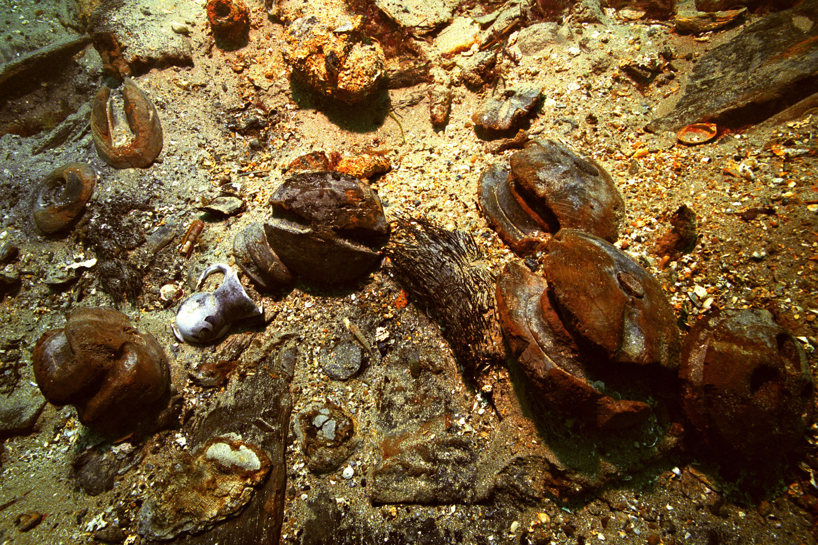 Photographie sous-marine de la zone avant de l'épave de la Dauphine