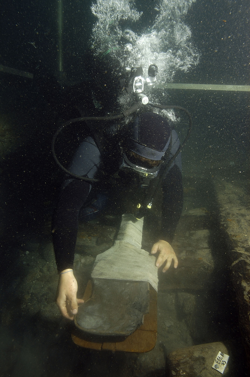Photographie sous-marine d'un plongeur prélevant un objet en bois