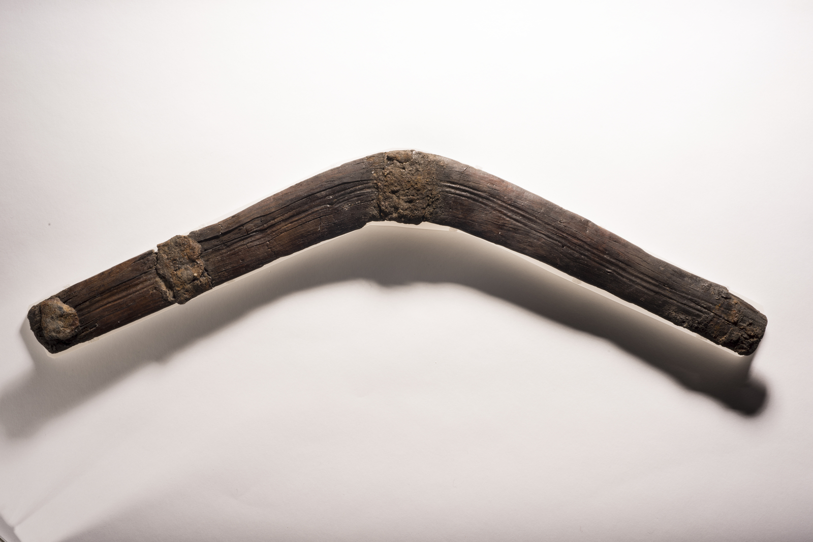 Photographie d'un bâton de jet façonné dans une branche naturellement tordue