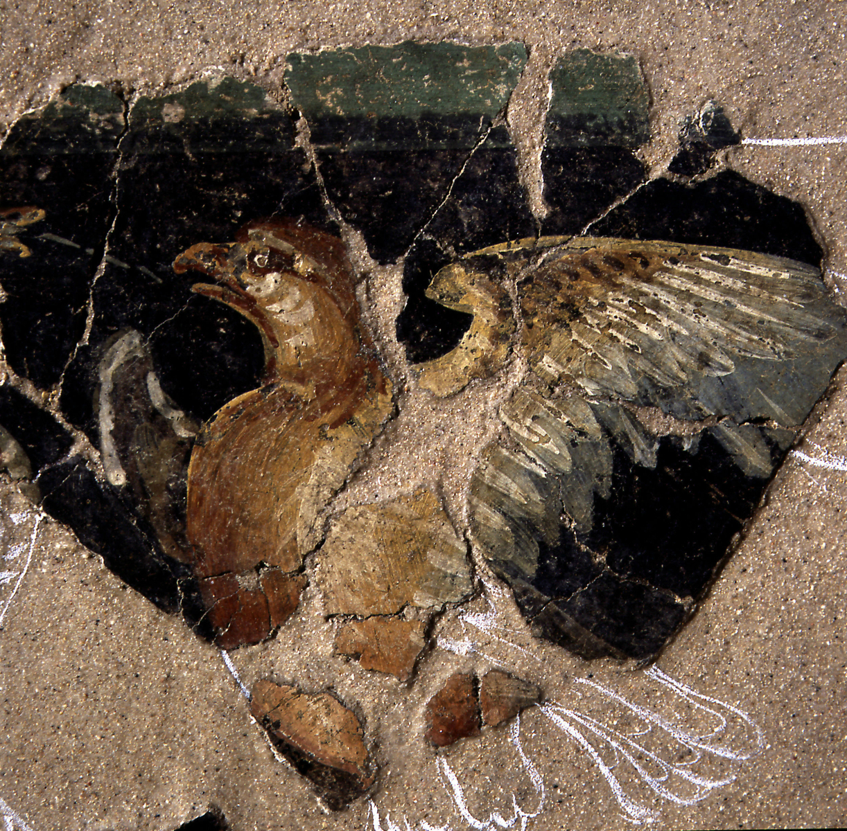 Décor peint de la villa de Mercin-et-Vaux (Aisne)