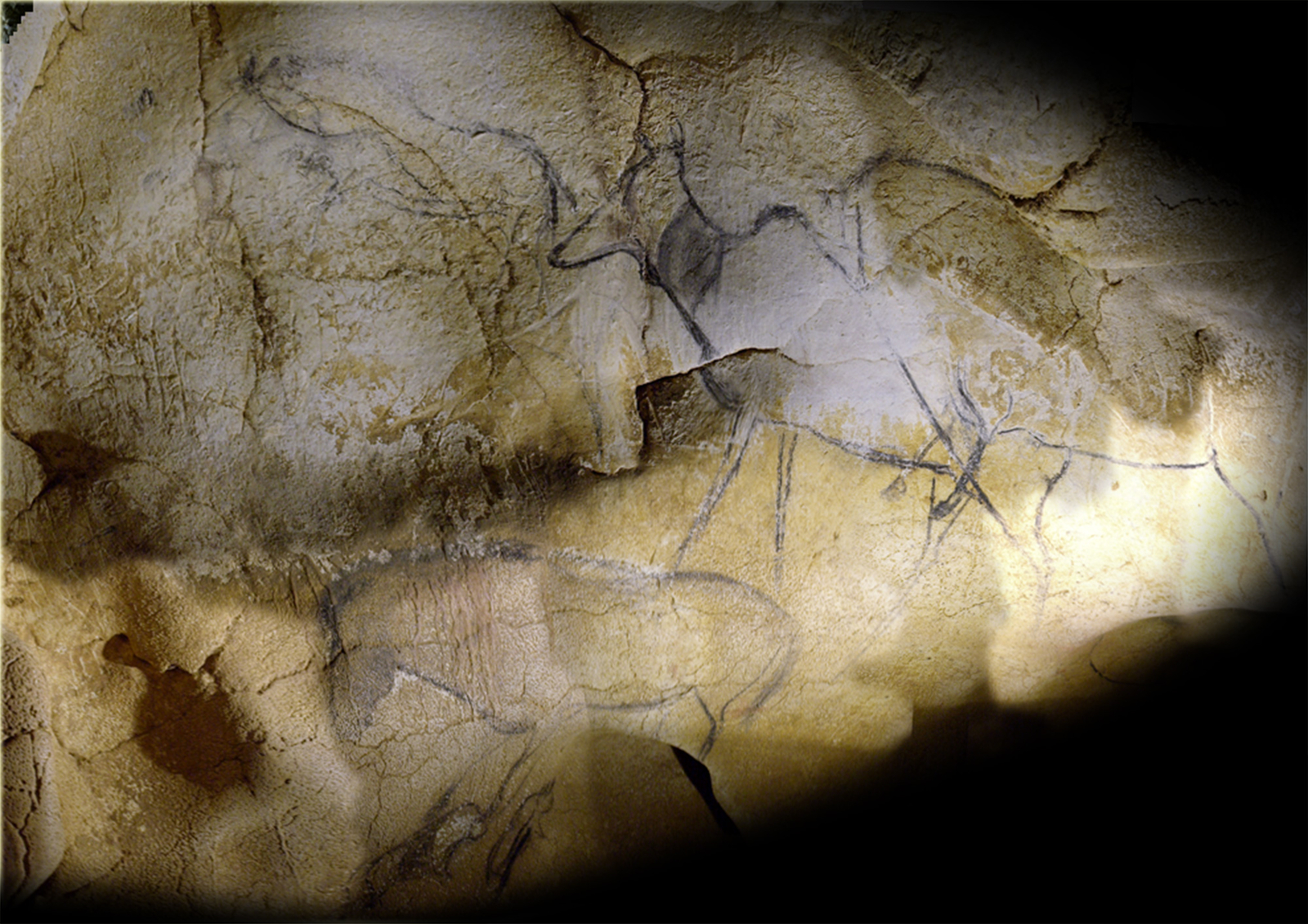 Panneau des Mégacéros