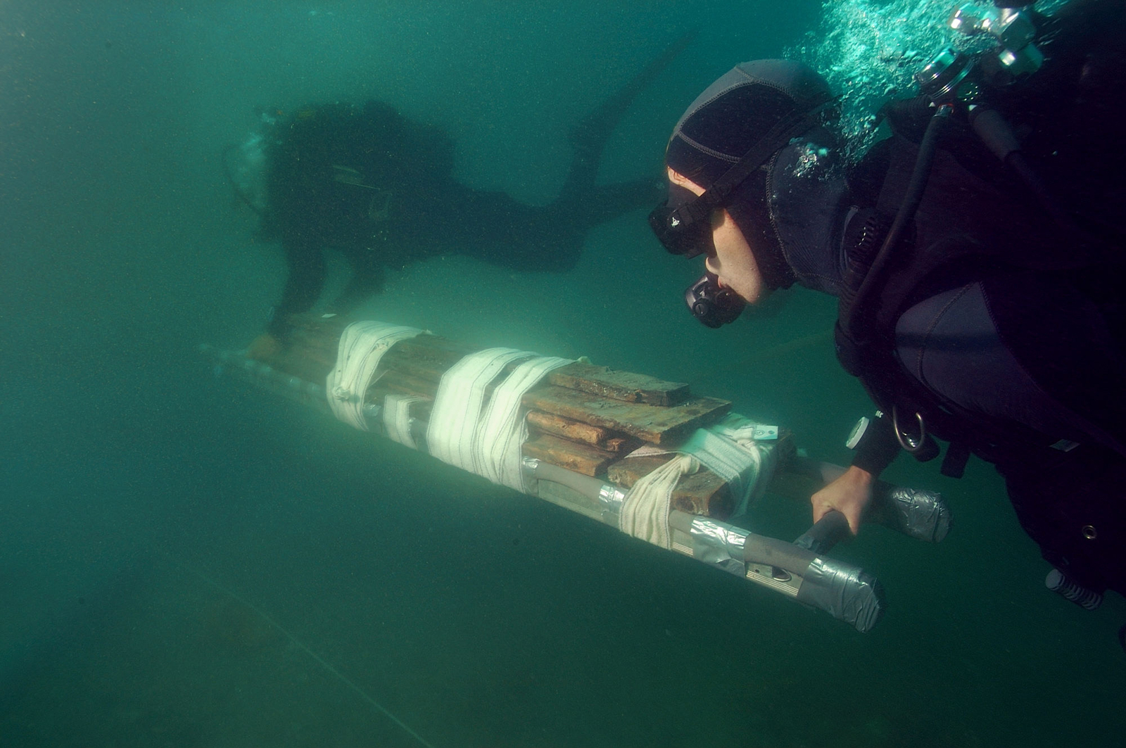 Photographie sous-marine d'un prélèvement de douelles de chêne