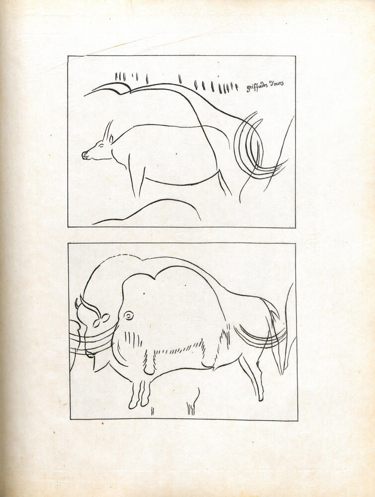 Calque figures rennes, bisons et mammouths