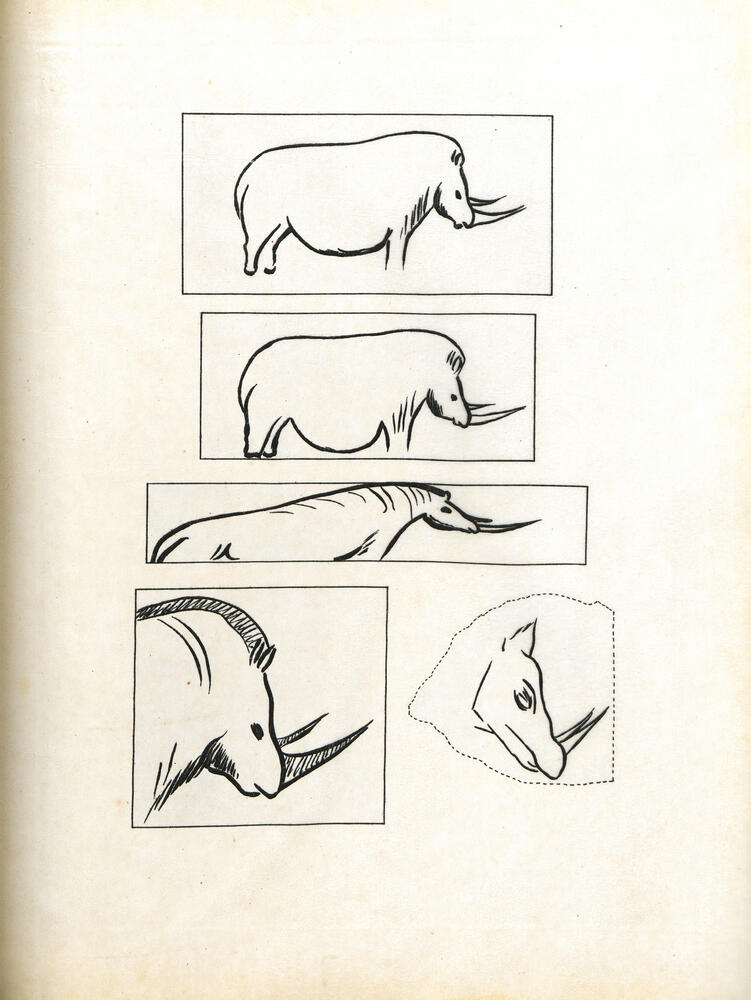 Claque rhinocéros rouge