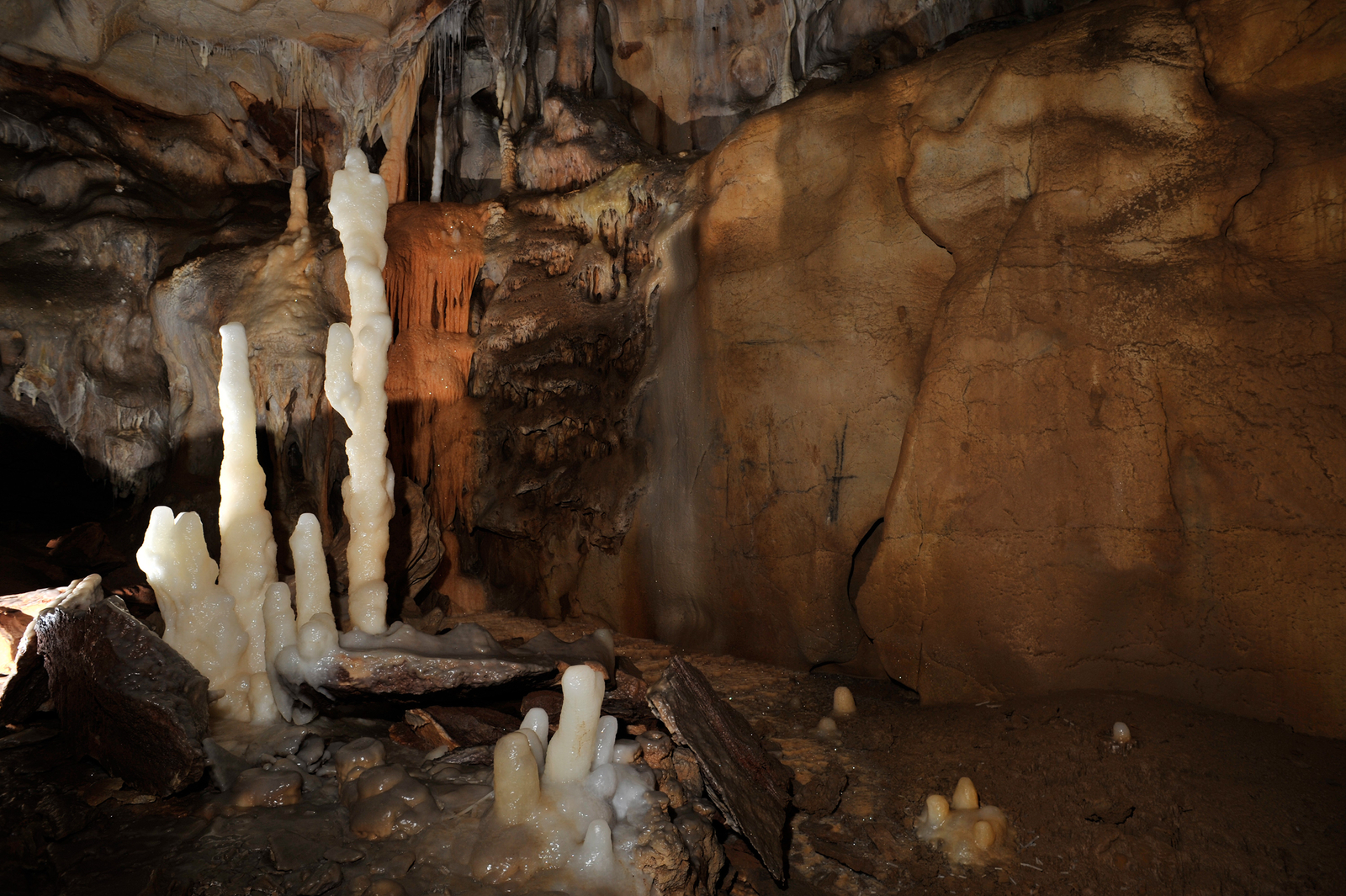 Panneau du mammouth noir